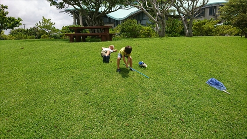 23日・公園、公園、公園!