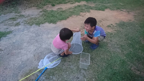 31日・巨大なハモ!