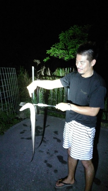 31日・巨大なハモ!