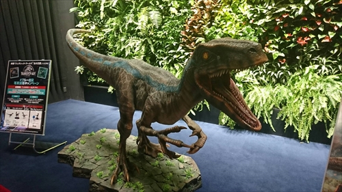 2日・ライカムからのカメ公園!