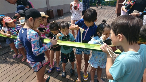 7日・流しそうめんと素潜りと。