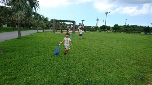 20日・久々の素潜り!