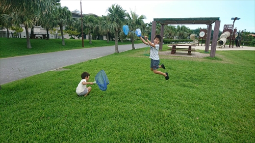 20日・久々の素潜り!