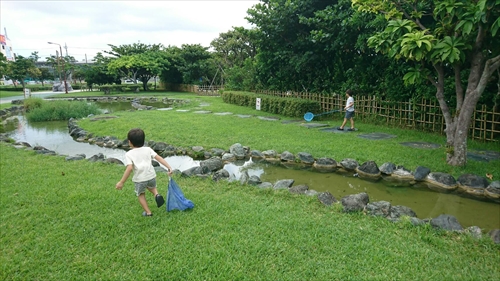 20日・久々の素潜り!