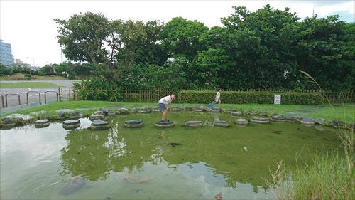 20日・久々の素潜り!