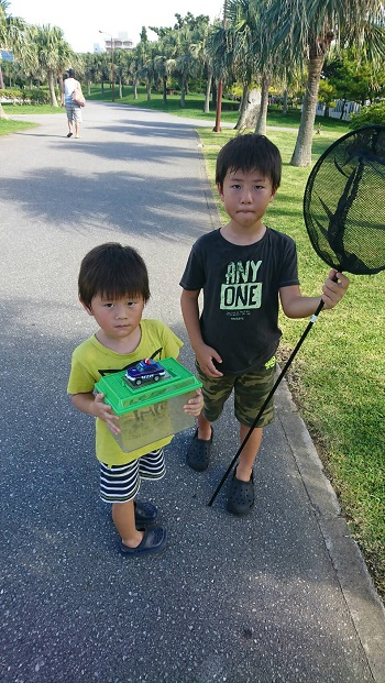 31日・30pオーバーのイラブチャー!