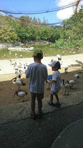 8日・ネオパーク、DINO恐竜、フルーツランド!