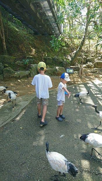 8日・ネオパーク、DINO恐竜、フルーツランド!