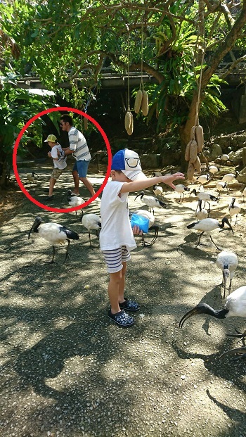 8日・ネオパーク、DINO恐竜、フルーツランド!