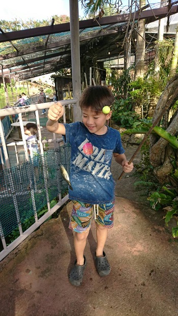 21日・ビオスの丘からの東南植物楽園!