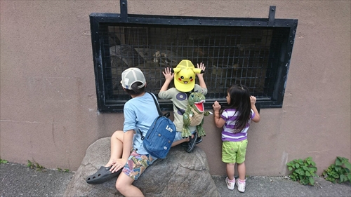 6日・沖縄こどもの国!