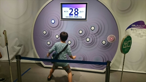 6日・沖縄こどもの国!