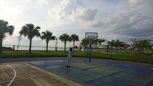 12日・大阪2日目!奈良公園からの新世界デート!