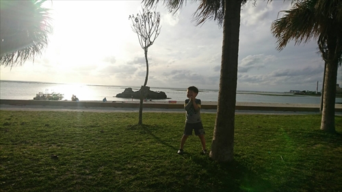 12日・大阪2日目!奈良公園からの新世界デート!