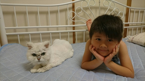 28日・スプリングバレー!