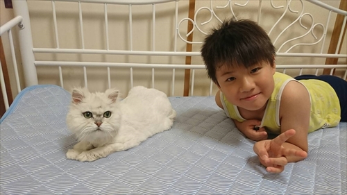 28日・スプリングバレー!