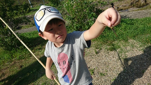 28日・スプリングバレー!