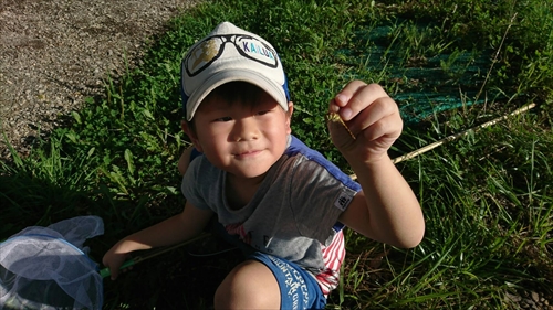 28日・スプリングバレー!