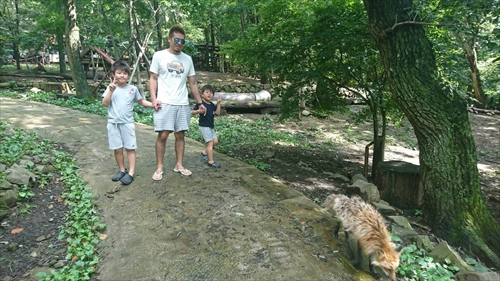 29日・蔵王キツネ村リベンジ成功!