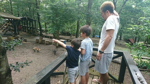 29日・蔵王キツネ村リベンジ成功!