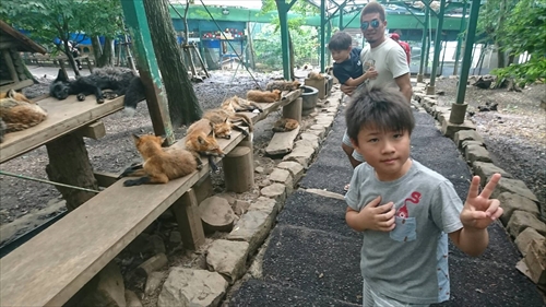 29日・蔵王キツネ村リベンジ成功!