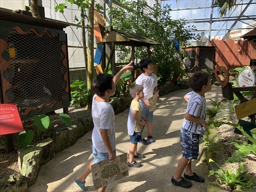 27日・北谷の海上アスレチックからの紅いもタルト作り!