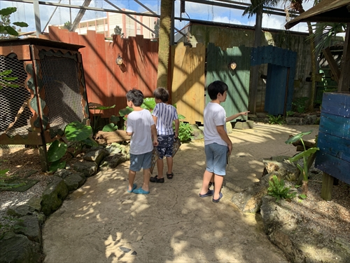 27日・北谷の海上アスレチックからの紅いもタルト作り!