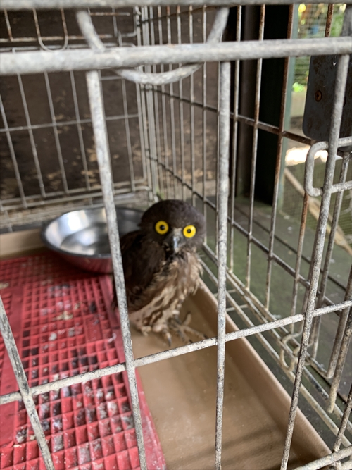 27日・北谷の海上アスレチックからの紅いもタルト作り!