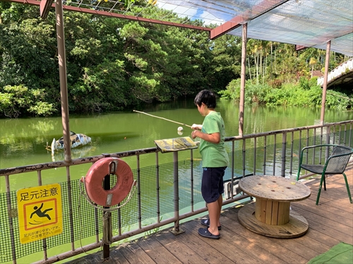 28日・念願の青の洞窟へ!