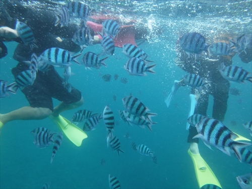 28日・念願の青の洞窟へ!