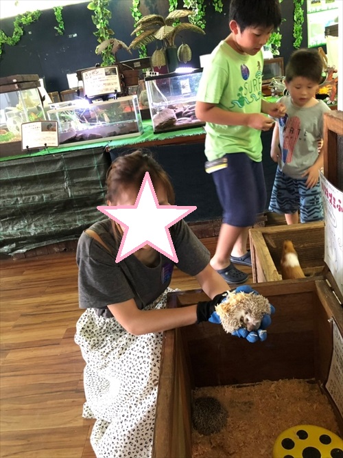 28日・念願の青の洞窟へ!