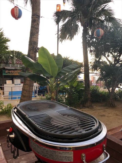 28日・念願の青の洞窟へ!