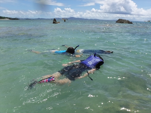 29日・ゴリラチョップシュノーケルからの花人逢!