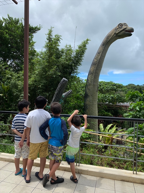 29日・ゴリラチョップシュノーケルからの花人逢!