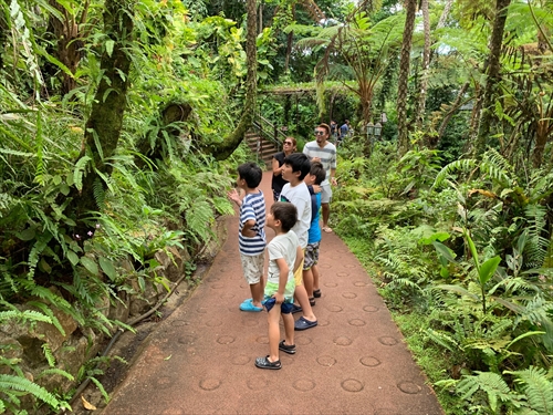 29日・ゴリラチョップシュノーケルからの花人逢!