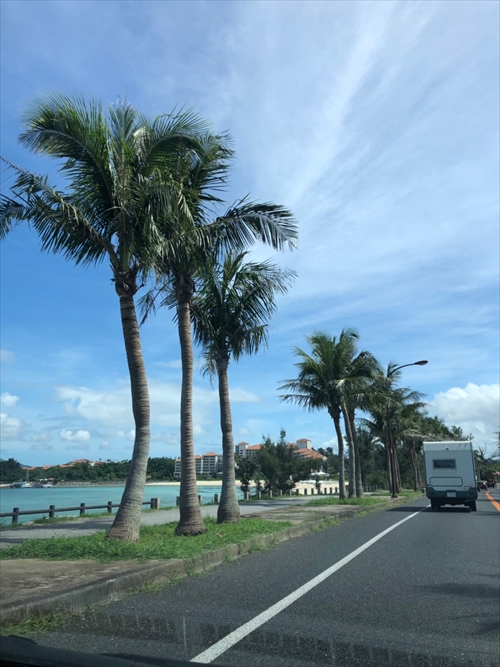 29日・ゴリラチョップシュノーケルからの花人逢!