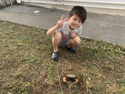 30日・デカいカニ!