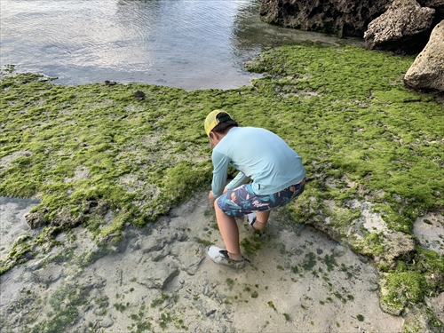 14日・今季初海水浴に行って来ました!