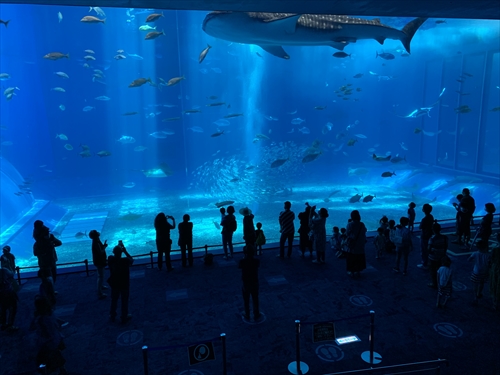 14日・今季初海水浴に行って来ました!