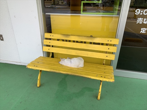 28日・シルミチュー公園でシュノーケル!