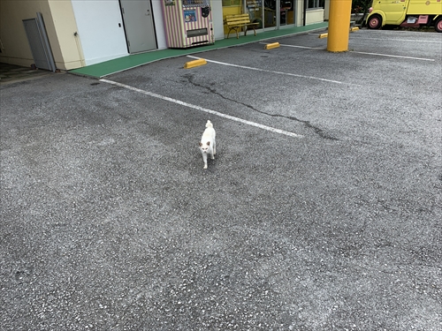 28日・シルミチュー公園でシュノーケル!