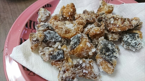 26日・タコ三昧!