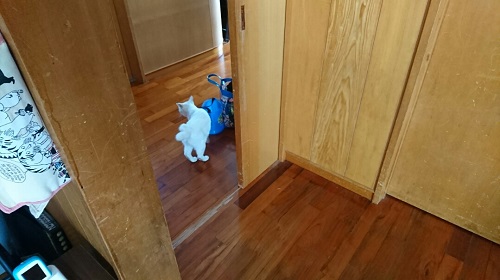 27日・魚が売れたよ!