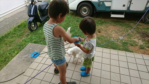 27日・三夜連続の素潜り!