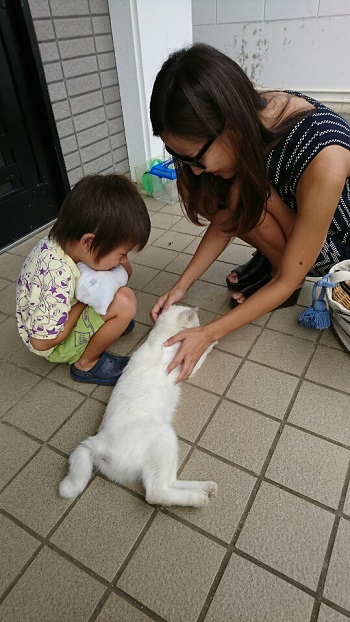 29日・ネットが繋がりました!