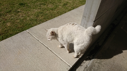 29日・実家に帰省!