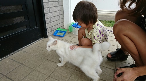 29日・ネットが繋がりました!