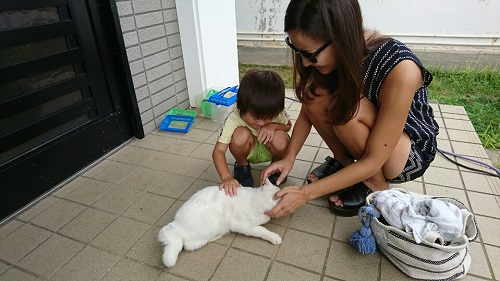 29日・ネットが繋がりました!