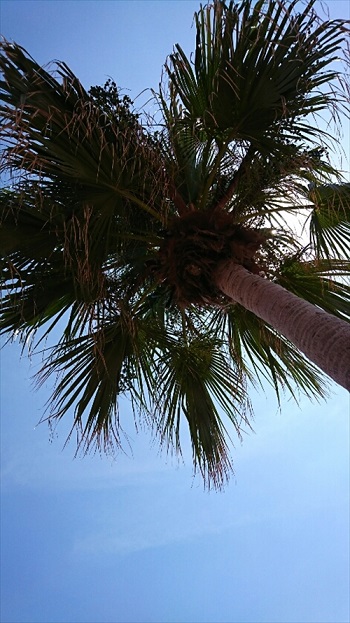 2日・10連休になりました!