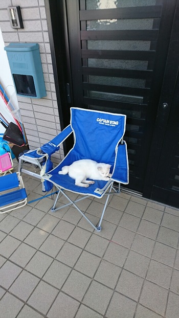 3日・インフル4日目!